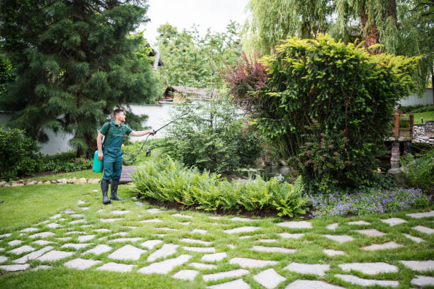Wasp Removal Services in Gilbert, MN