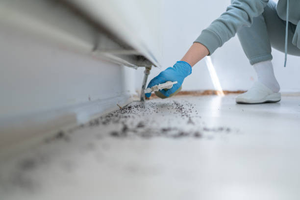 Best Pest Control Near Me in Gilbert, MN